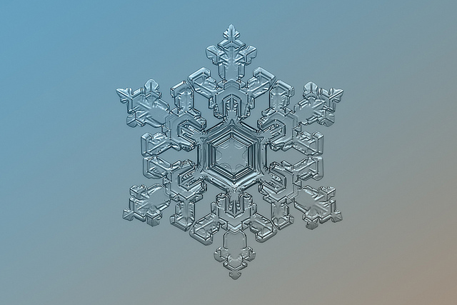 Snowflakes 1